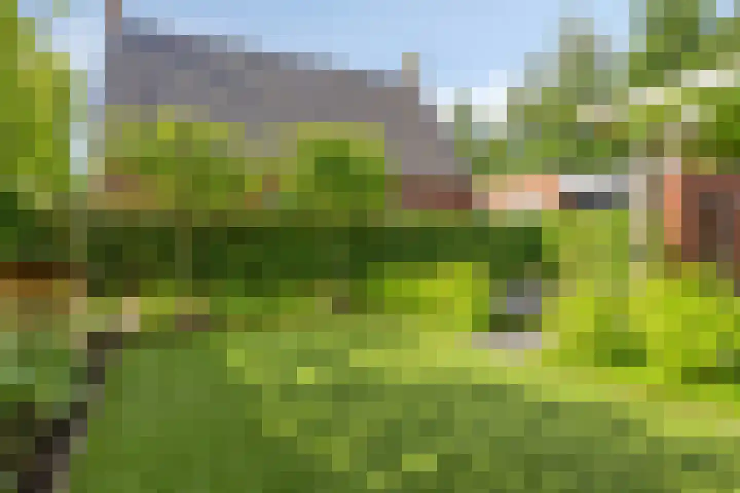 Vlas 37 Asten thumbnail 38
