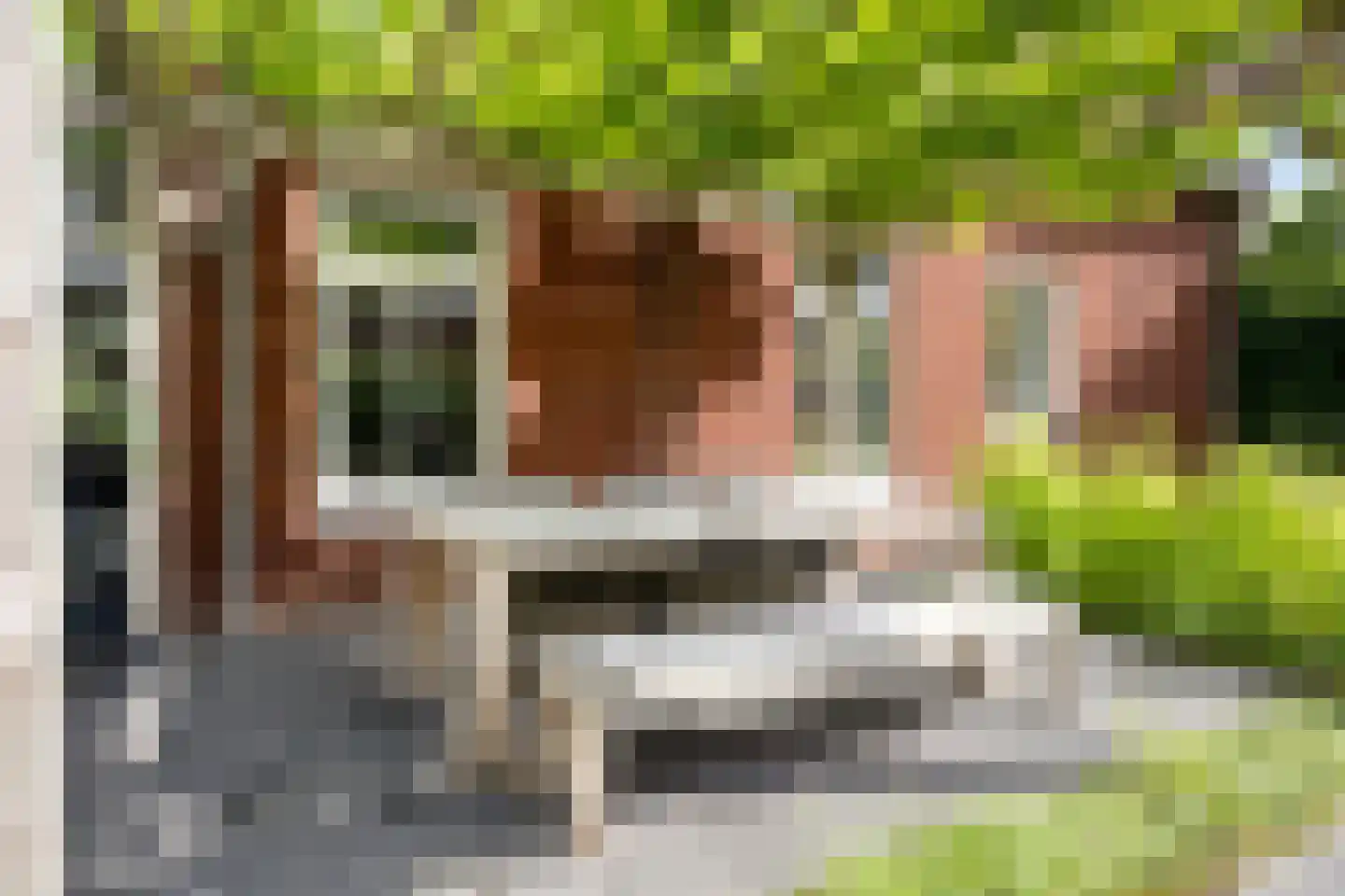 Vlas 37 Asten thumbnail 39