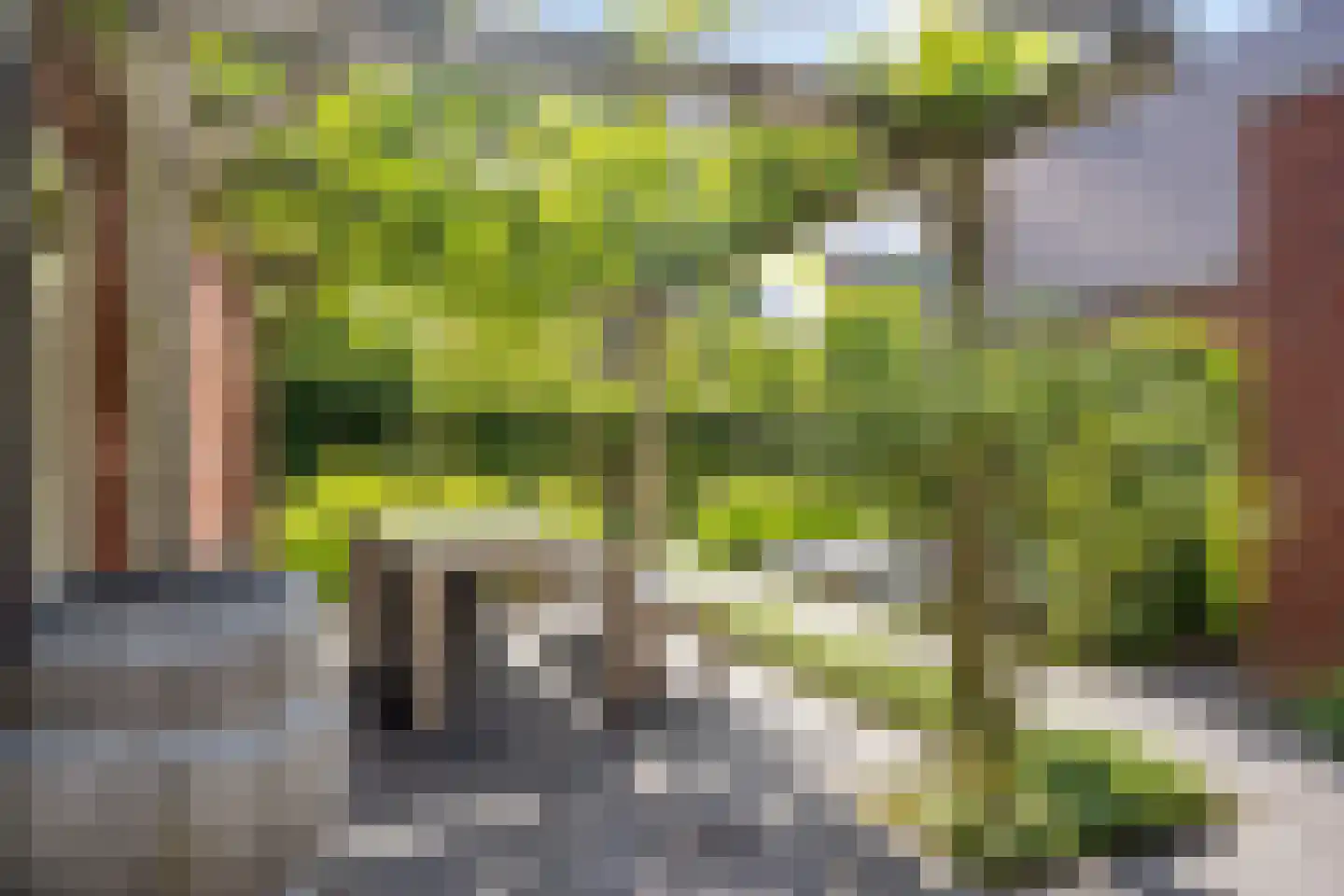 Vlas 37 Asten thumbnail 40