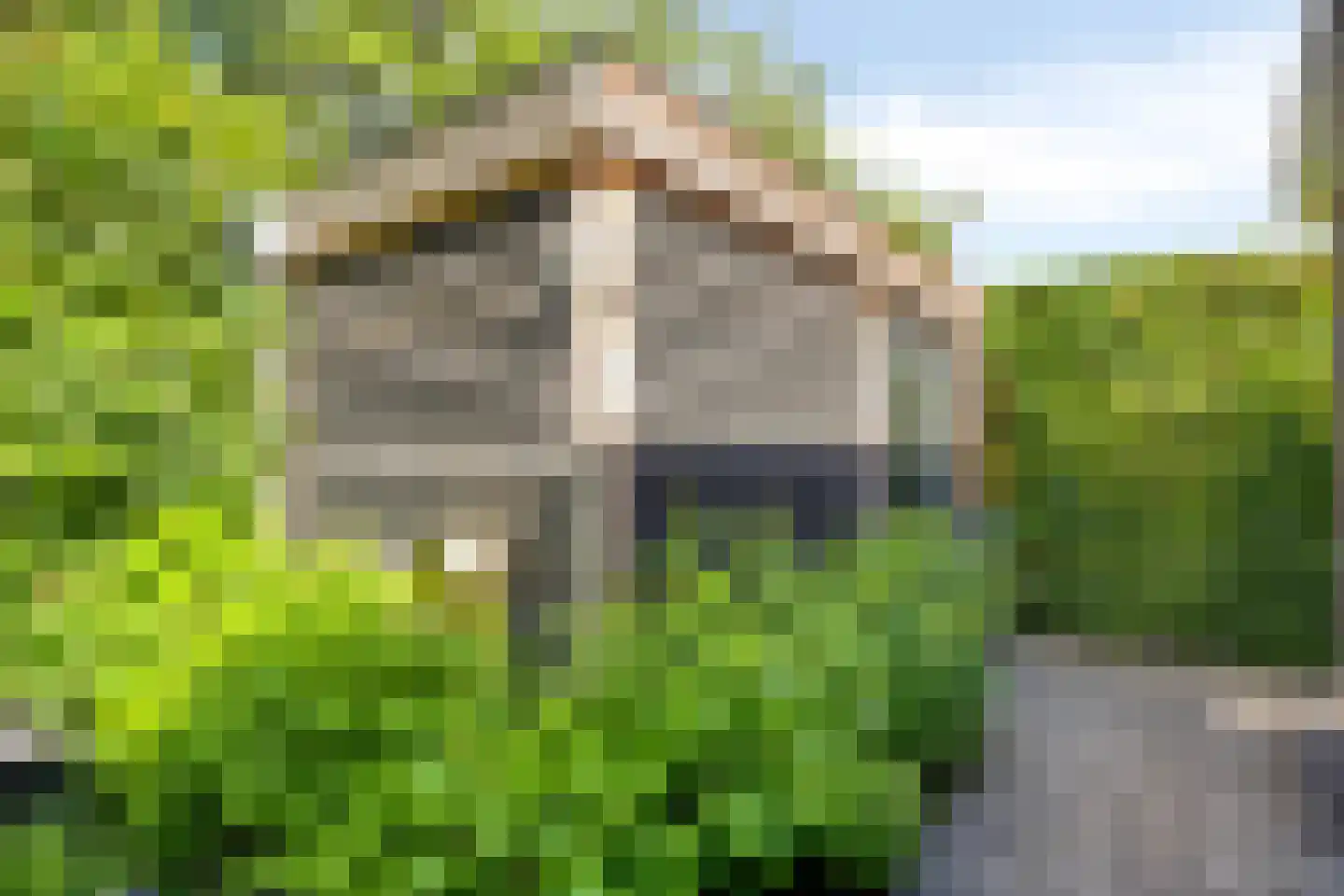 Vlas 37 Asten thumbnail 44