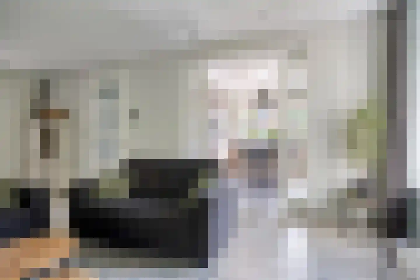 Vlas 37 Asten thumbnail 8