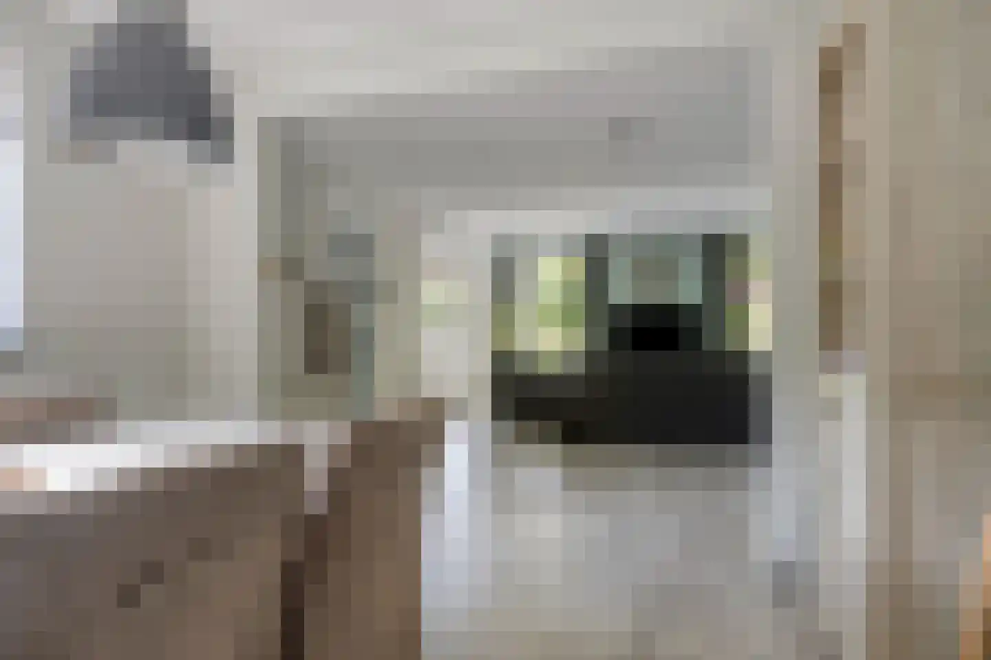 Vlas 37 Asten thumbnail 9