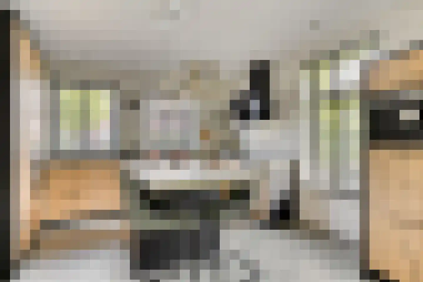 Vlas 39 Asten thumbnail 12