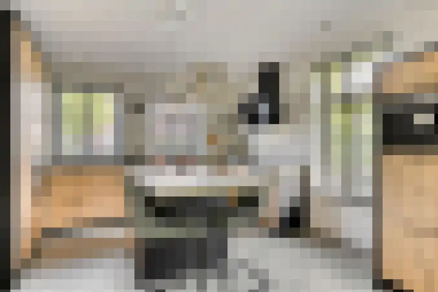 Vlas 39 Asten thumbnail 12