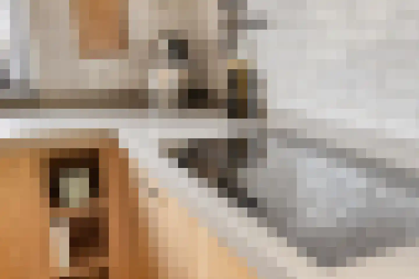 Vlas 39 Asten thumbnail 18