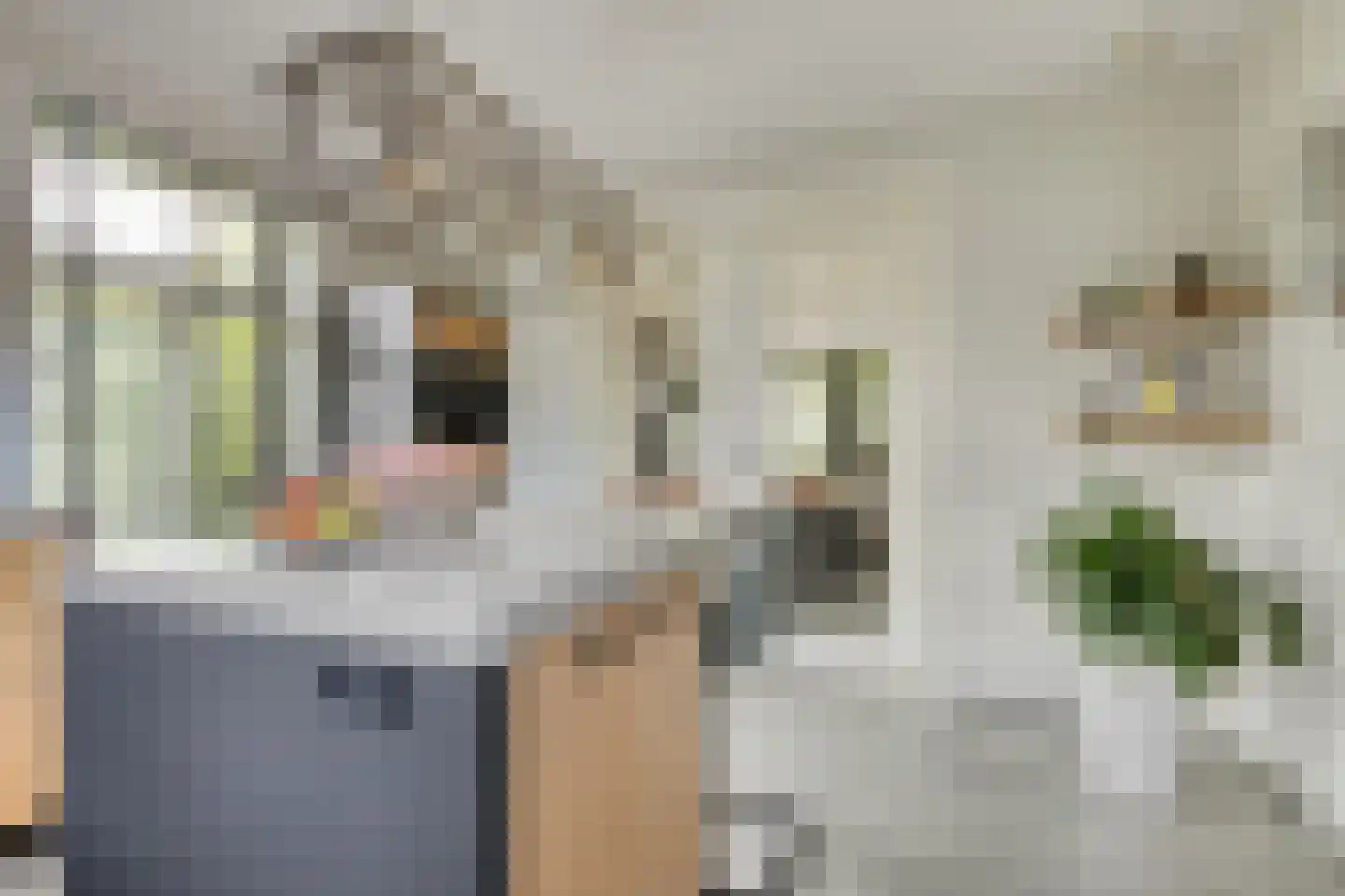 Vlas 39 Asten thumbnail 22
