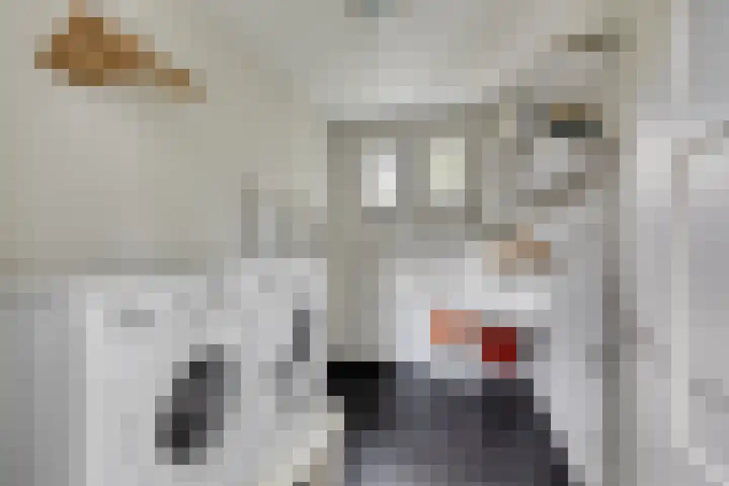 Vlas 39 Asten thumbnail 23