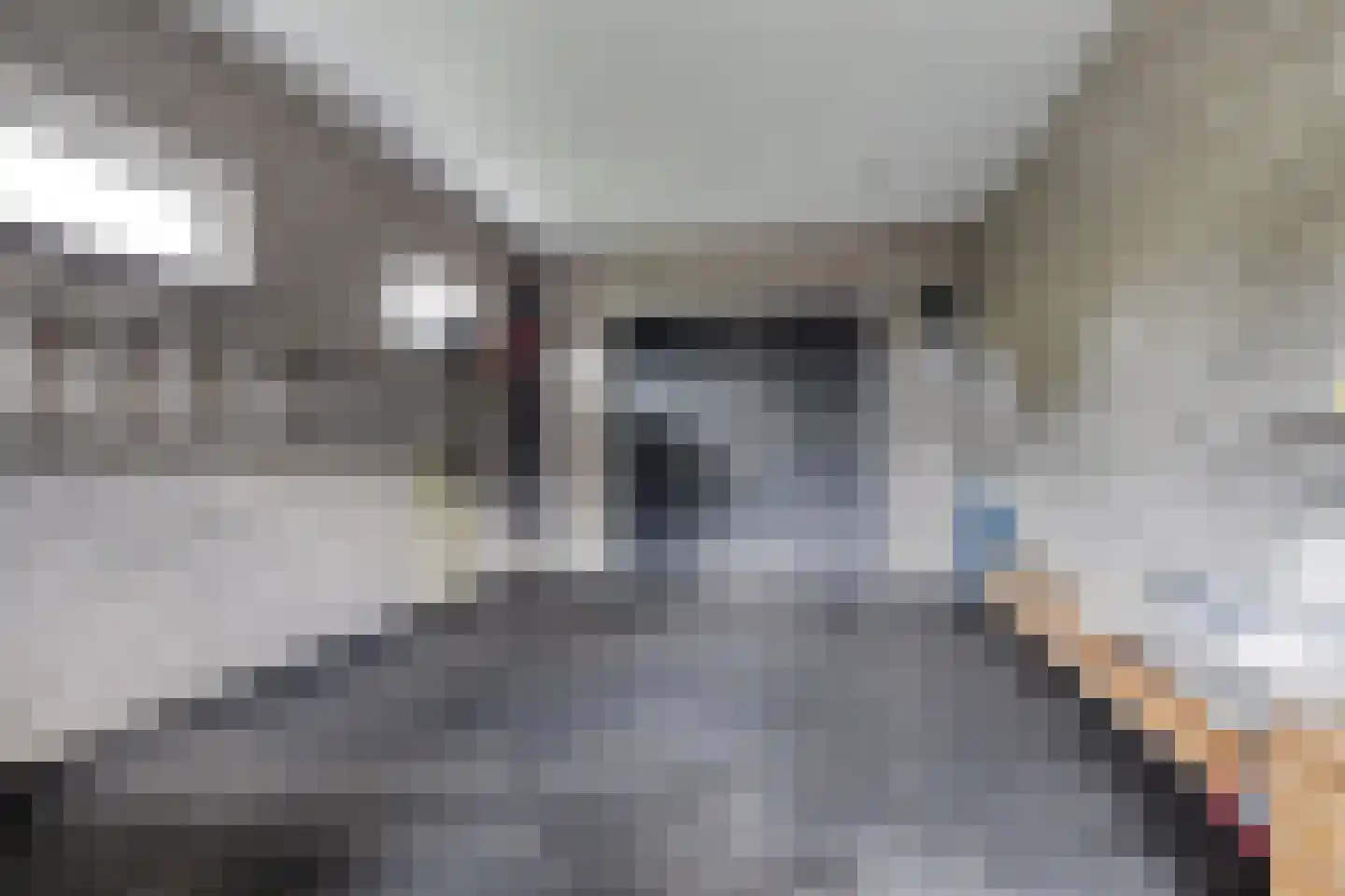 Vlas 39 Asten thumbnail 24