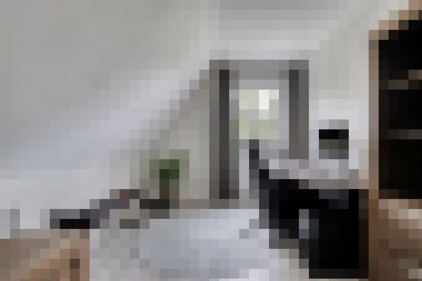 Vlas 39 Asten thumbnail 31