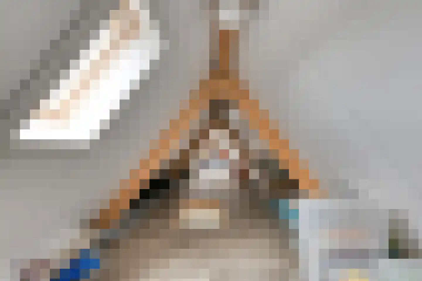 Vlas 39 Asten thumbnail 36