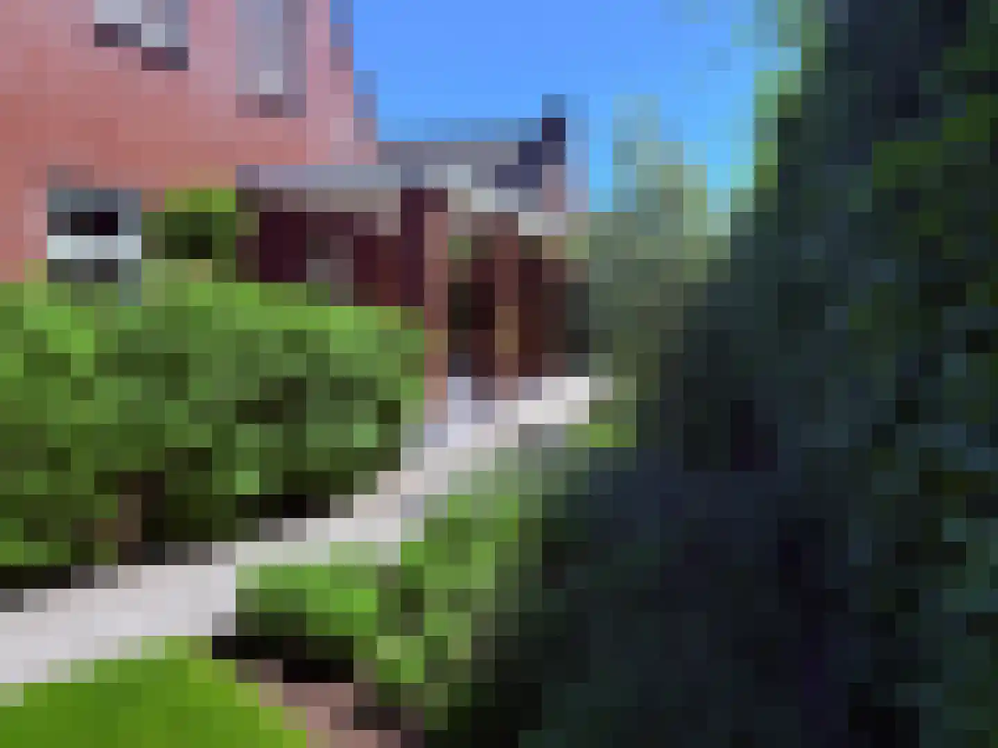 Vlas 39 Asten thumbnail 38