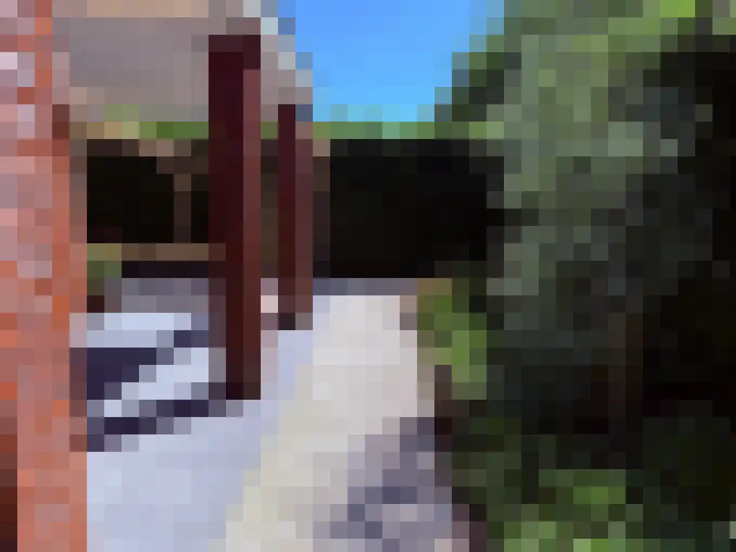 Vlas 39 Asten thumbnail 39