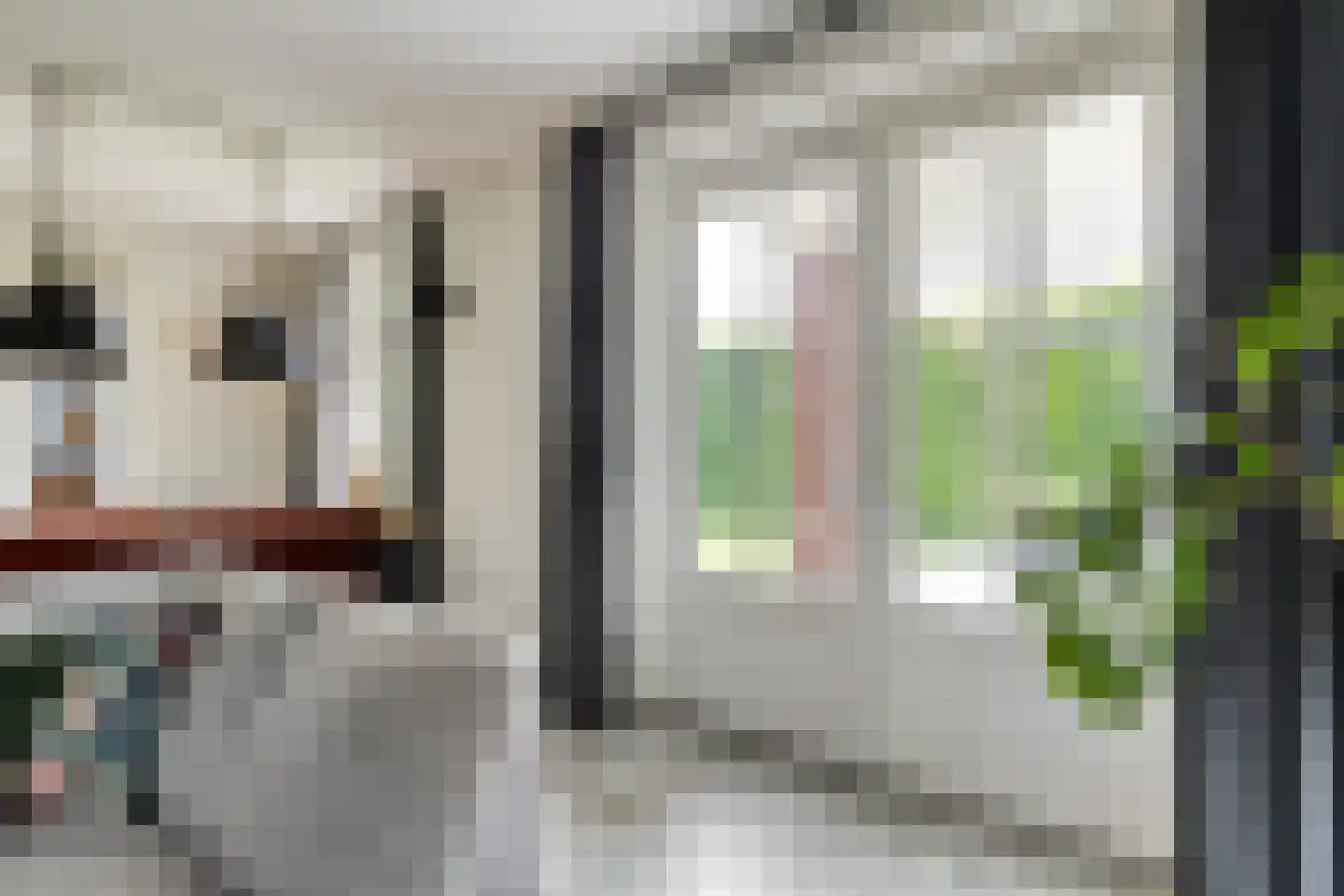 Vlas 39 Asten thumbnail 4