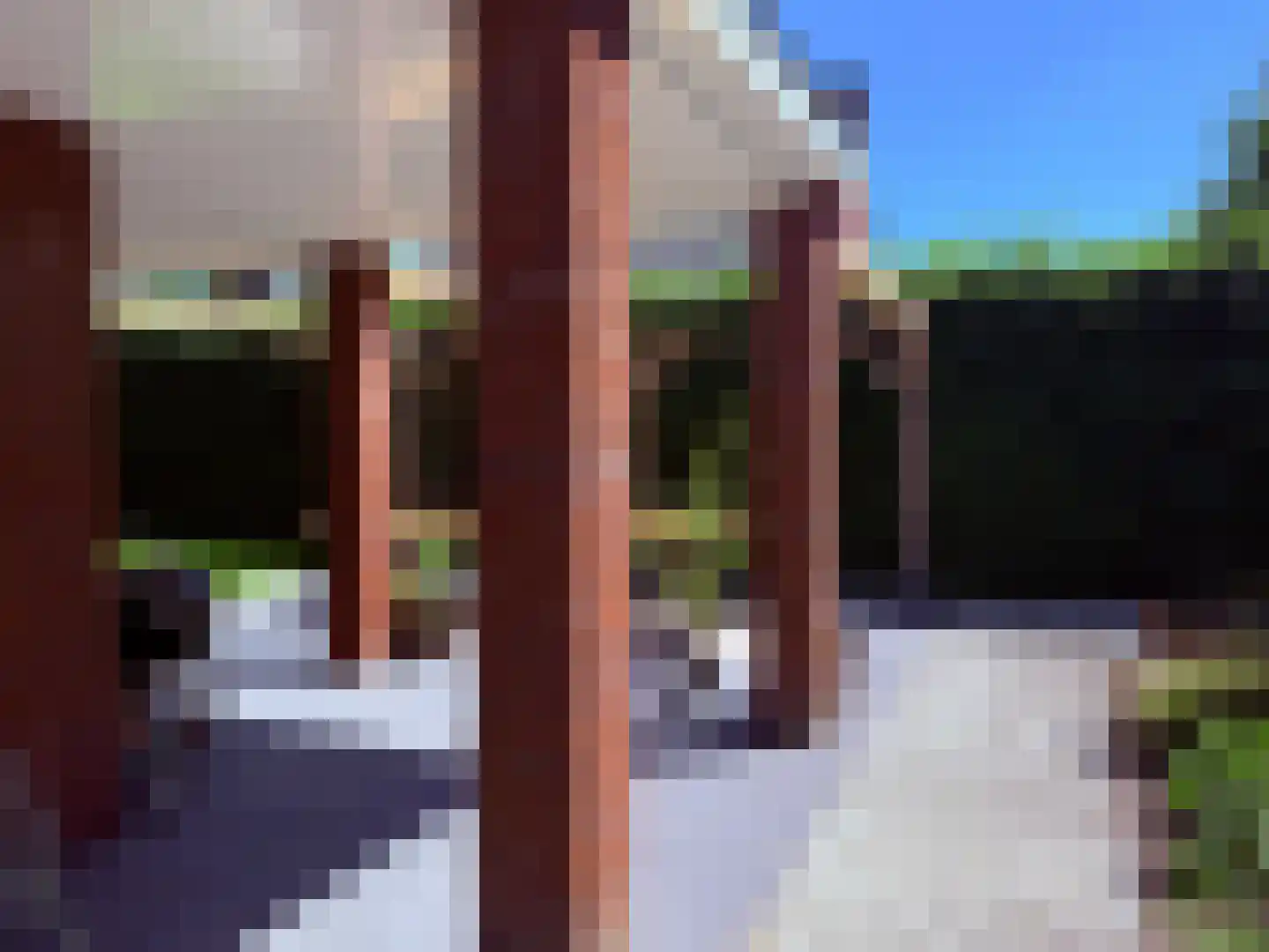 Vlas 39 Asten thumbnail 40