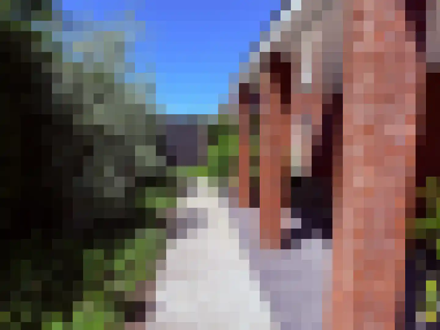 Vlas 39 Asten thumbnail 42