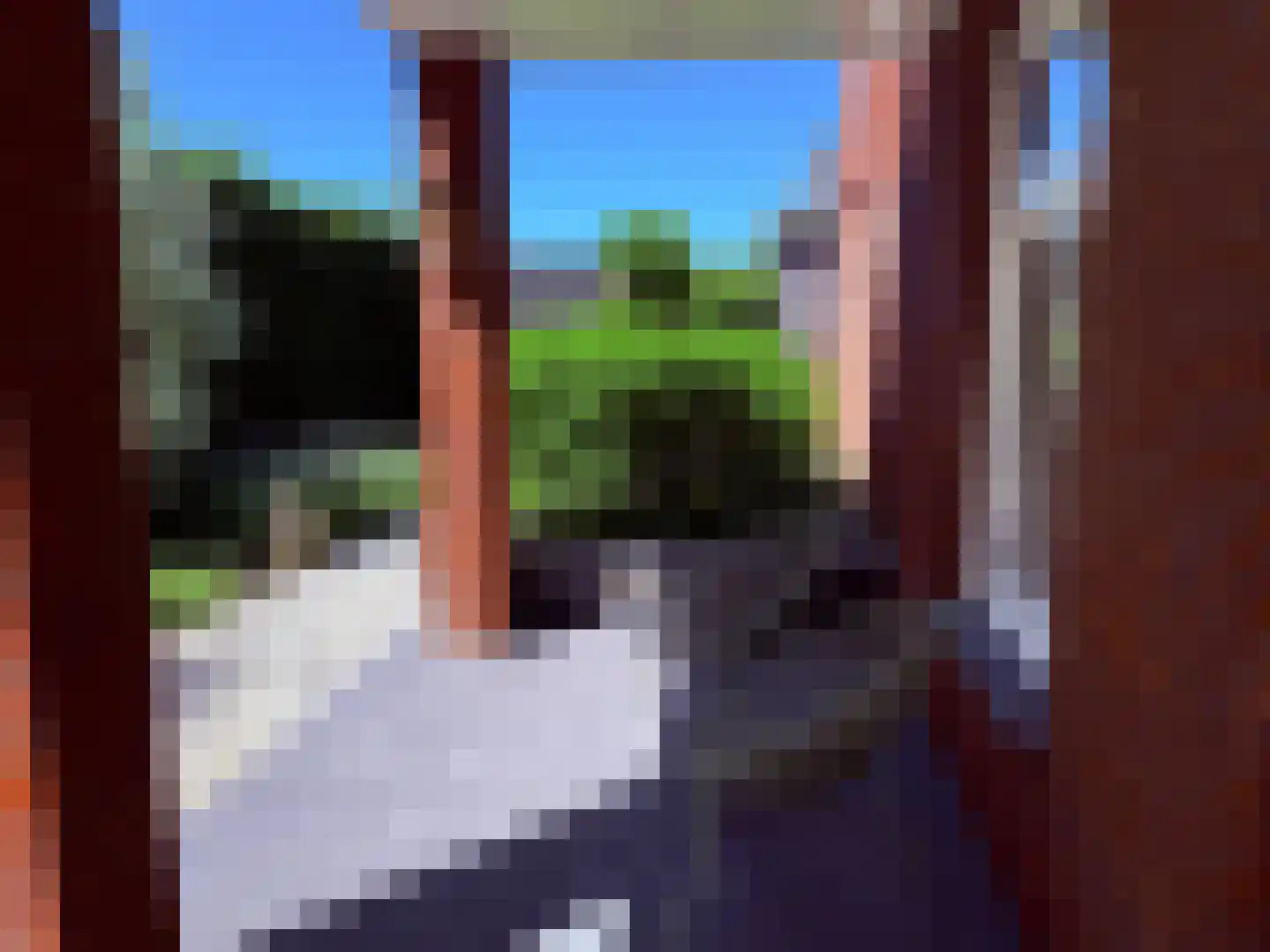Vlas 39 Asten thumbnail 43