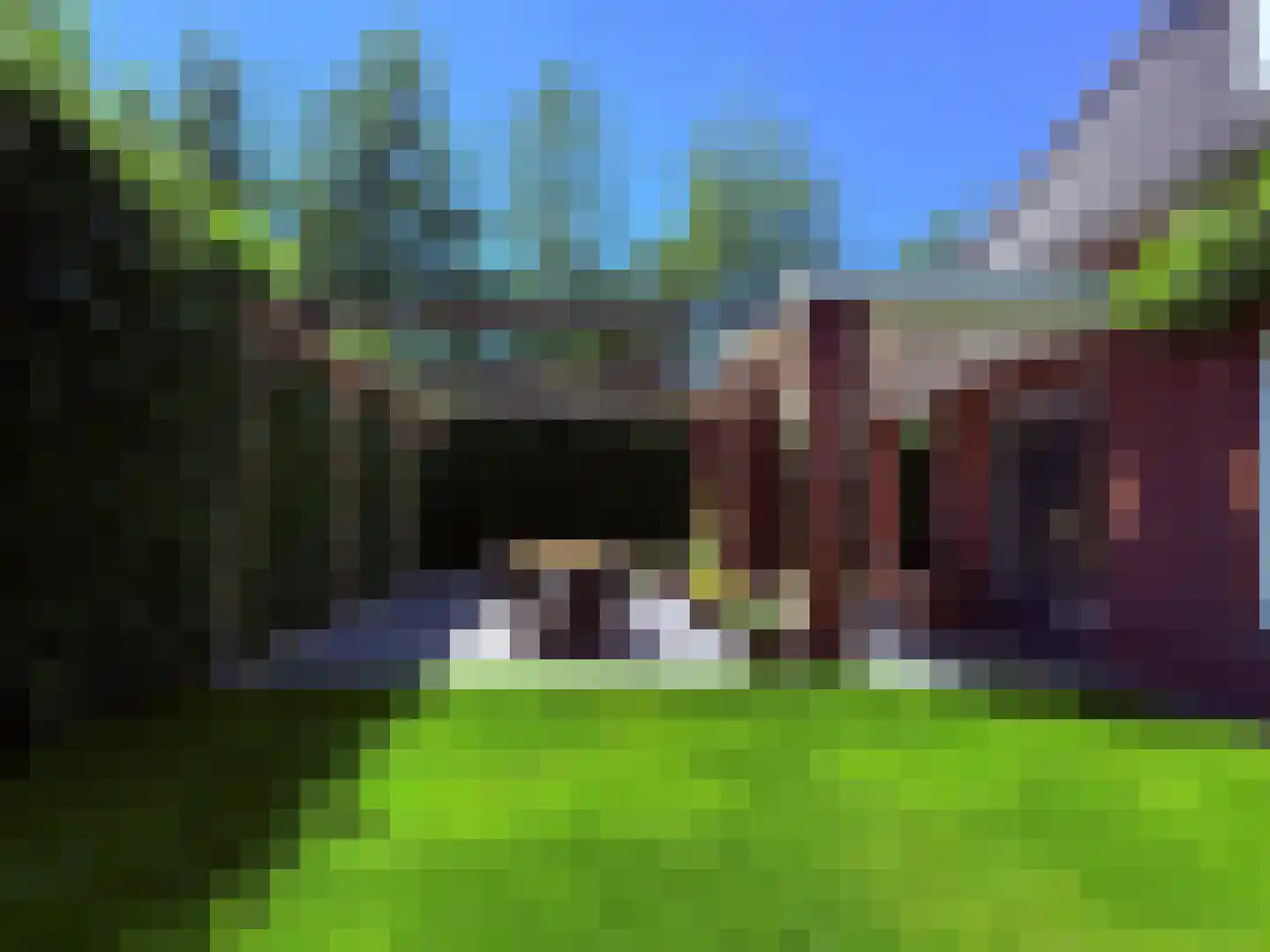 Vlas 39 Asten thumbnail 47