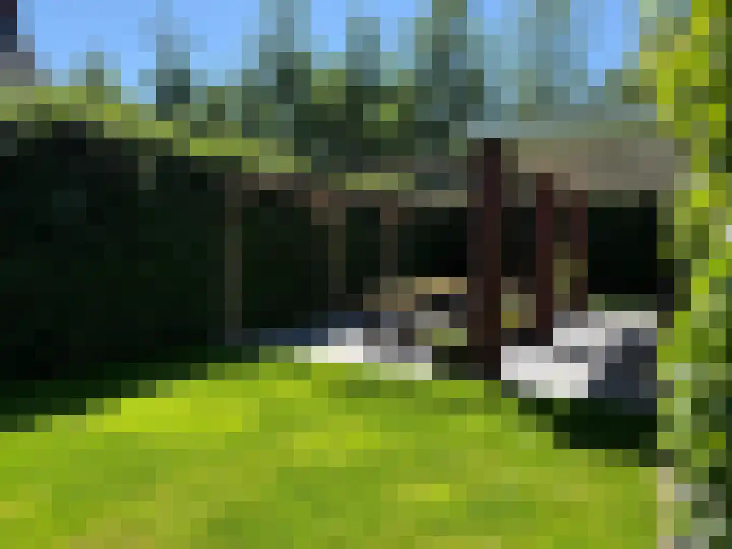Vlas 39 Asten thumbnail 48