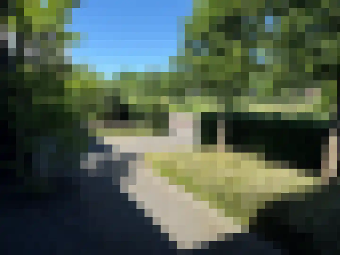 Vlas 39 Asten thumbnail 50