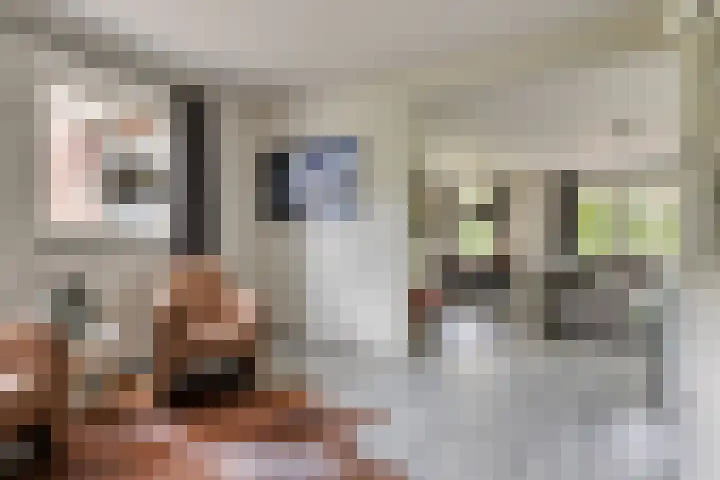 Vlas 39 Asten thumbnail 8