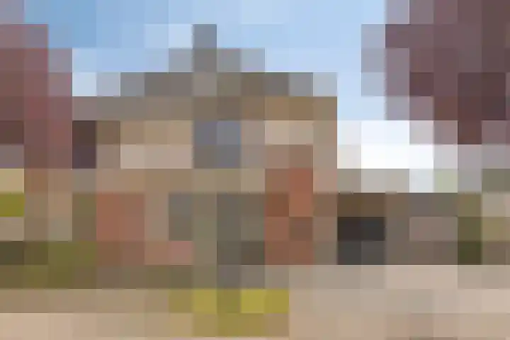 Vlas 5 in Ruurlo