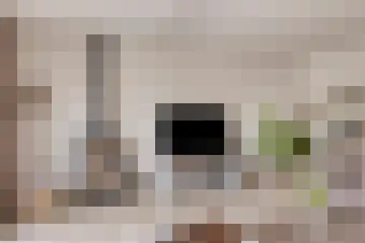 Vlas 5 Ruurlo thumbnail 13