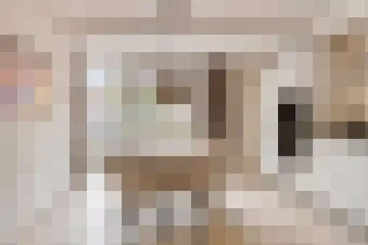Vlas 5 Ruurlo thumbnail 21