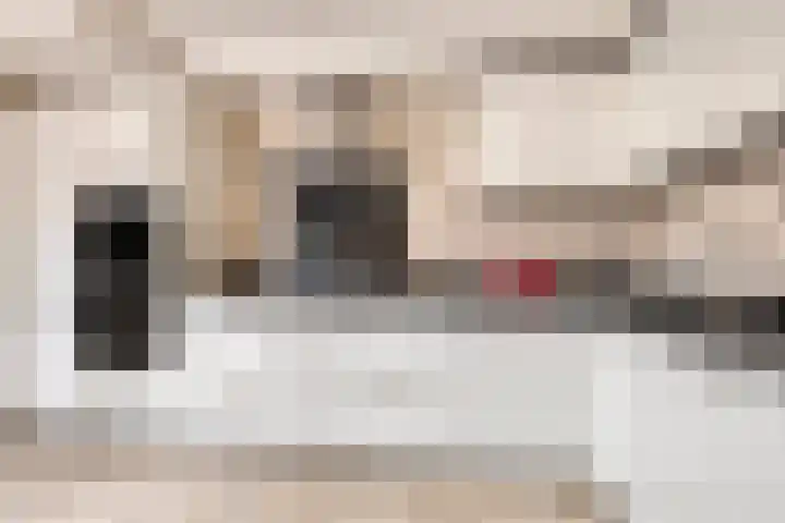Vlas 5 Ruurlo thumbnail 22