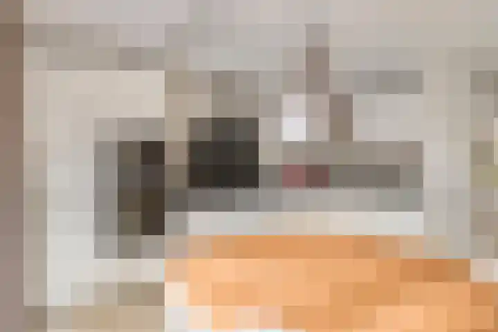 Vlas 5 Ruurlo thumbnail 24