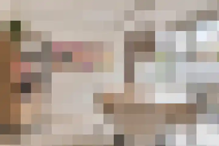 Vlas 5 Ruurlo thumbnail 25