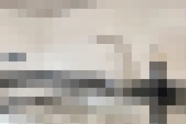 Vlas 5 Ruurlo thumbnail 26