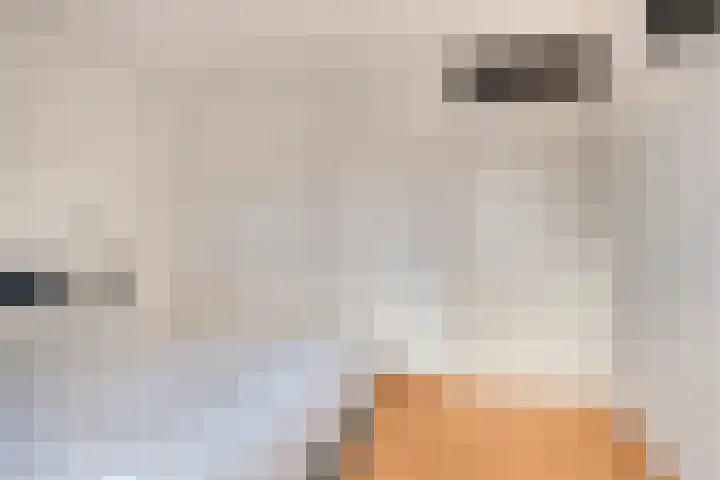 Vlas 5 Ruurlo thumbnail 33