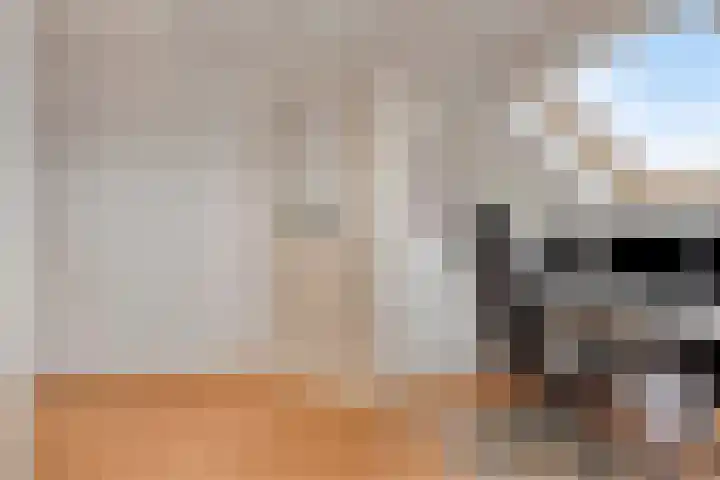 Vlas 5 Ruurlo thumbnail 44
