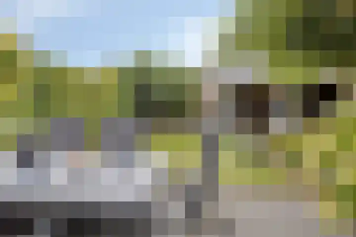 Vlas 5 Ruurlo thumbnail 47