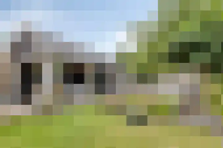 Vlas 5 Ruurlo thumbnail 48