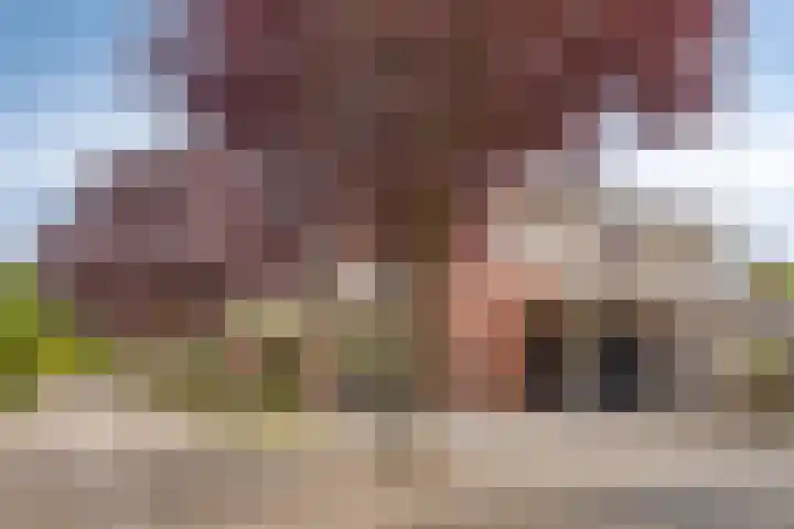 Vlas 5 Ruurlo thumbnail 5
