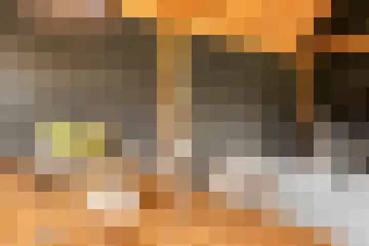Vlas 5 Ruurlo thumbnail 50