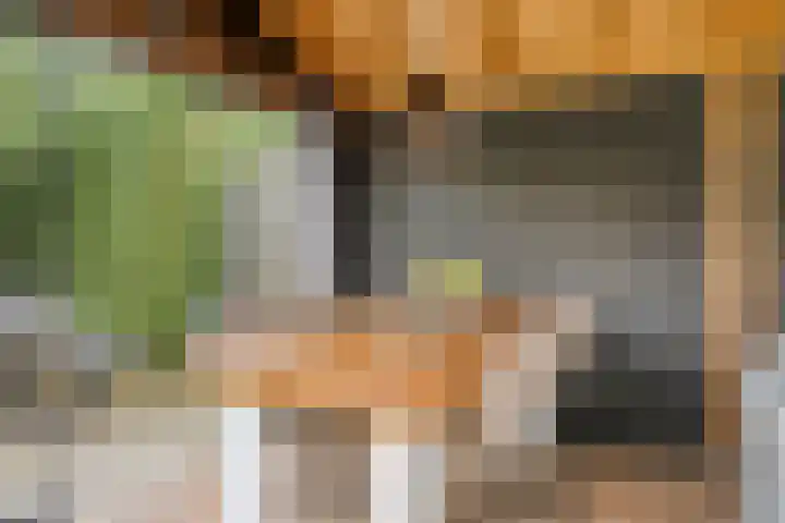 Vlas 5 Ruurlo thumbnail 52