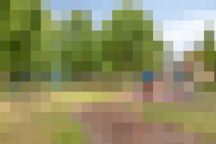 Vlas 5 Ruurlo thumbnail 56
