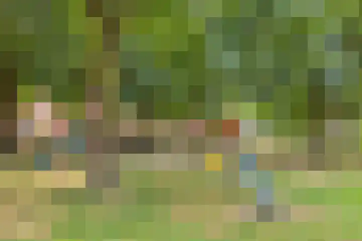 Vlas 5 Ruurlo thumbnail 57