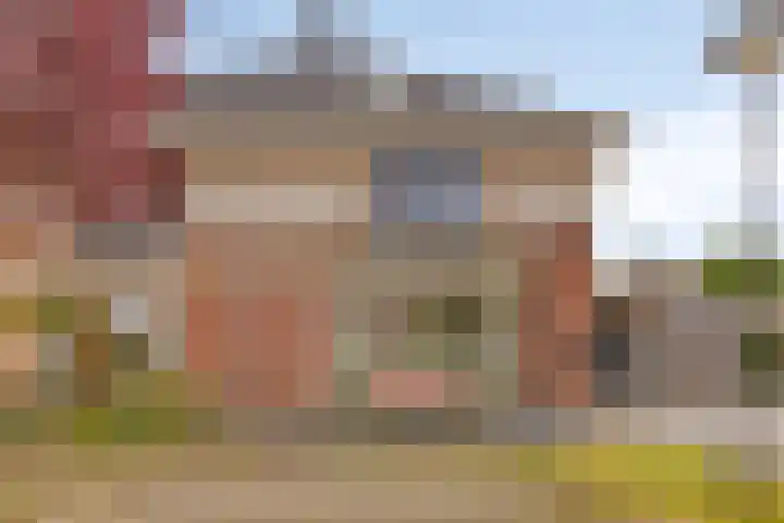 Vlas 5 Ruurlo thumbnail 6