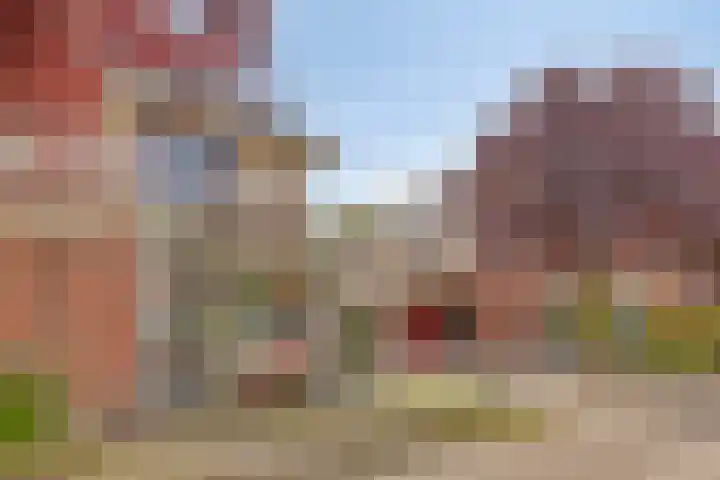 Vlas 5 Ruurlo thumbnail 7