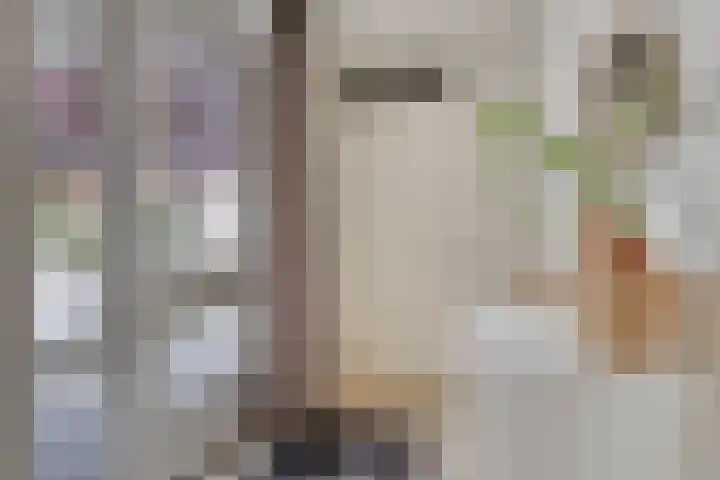 Vlas 5 Ruurlo thumbnail 9