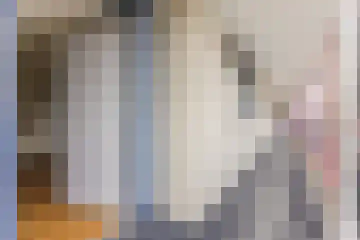 Vlas en Graan 67 Veghel thumbnail 10
