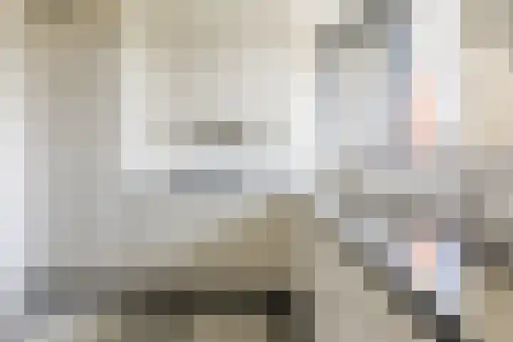 Vlas en Graan 67 Veghel thumbnail 16