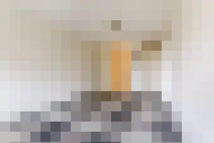 Vlas en Graan 67 Veghel thumbnail 20