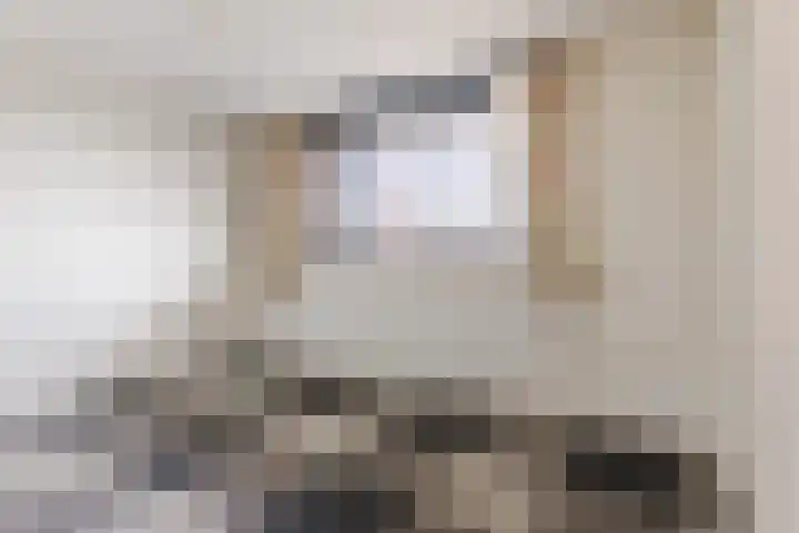Vlas en Graan 67 Veghel thumbnail 21