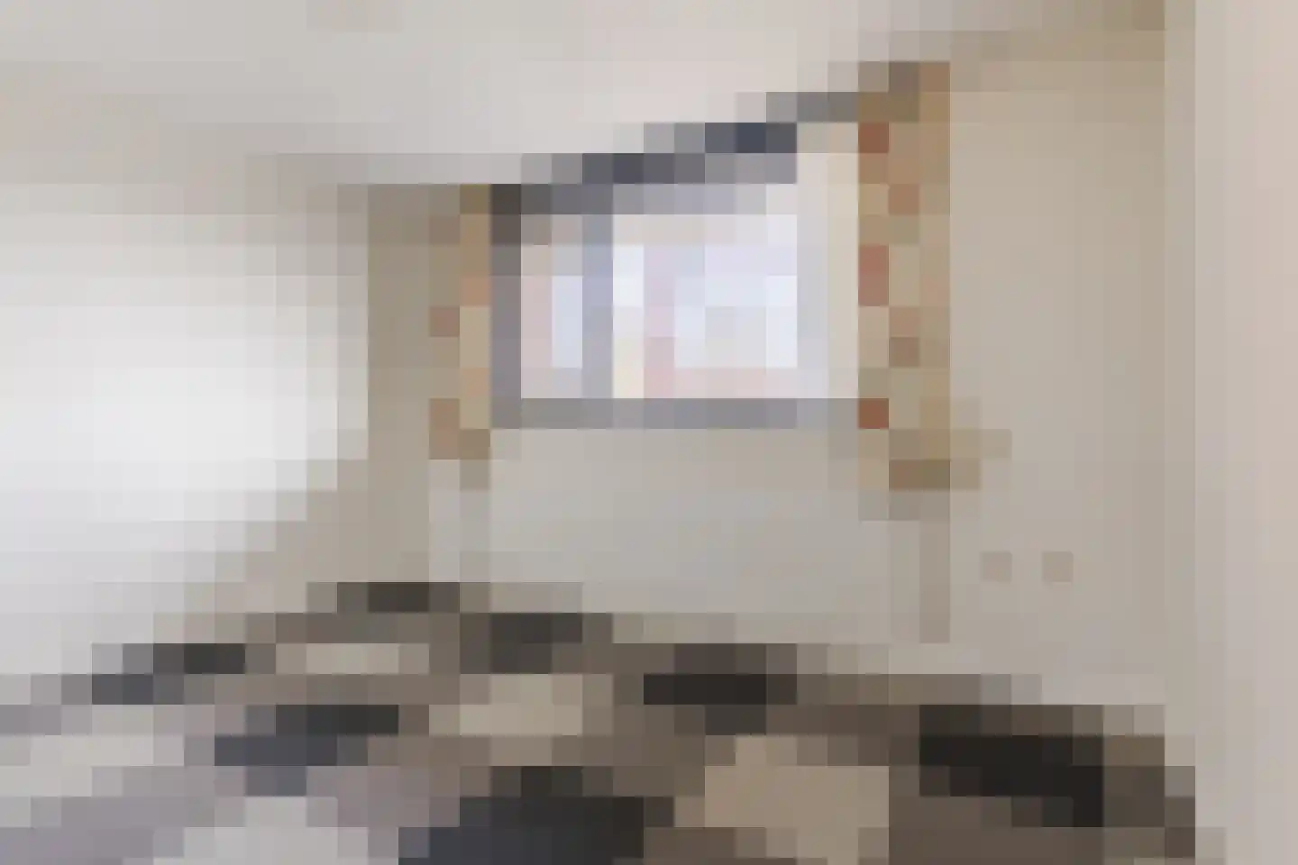 Vlas en Graan 67 Veghel thumbnail 21
