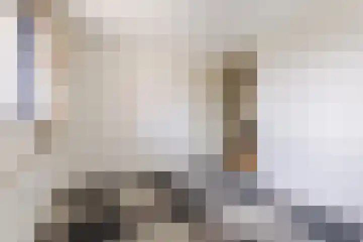 Vlas en Graan 67 Veghel thumbnail 22