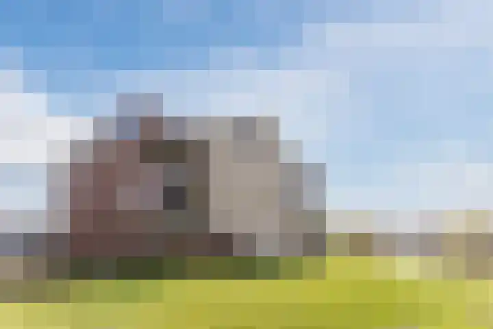 Vlas en Graan 67 Veghel thumbnail 4